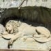 Cultural Anthropology: Power, Authority and Legitimacy