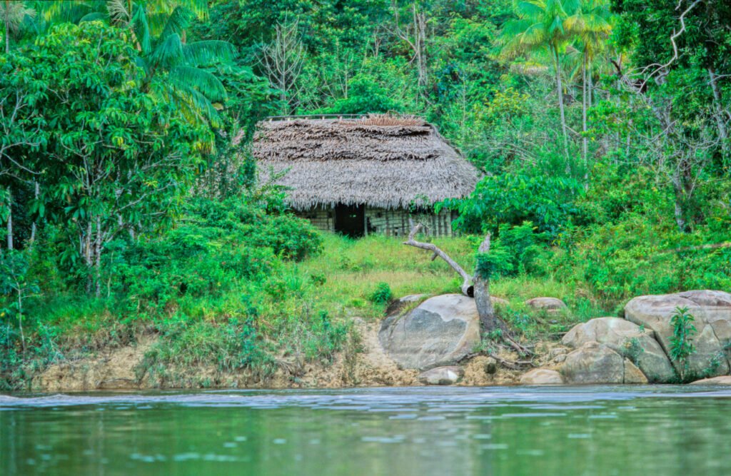 Yanomami
