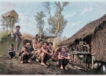 Indigenous (Pacific Islands)