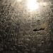 The Code of Hammurabi