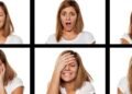 Anatomy of emotions and memory