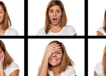 Anatomy of emotions and memory