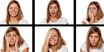 Anatomy of emotions and memory