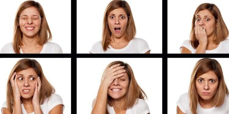 Anatomy of emotions and memory