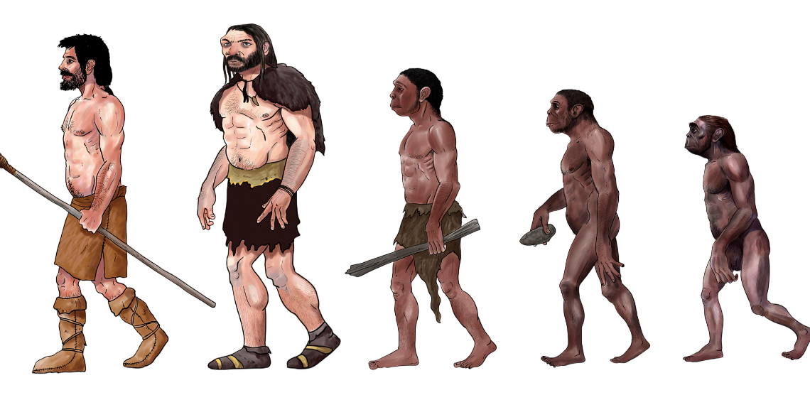Origins of homo Sapiens 1 – Old Stone Age Hominins, Bands