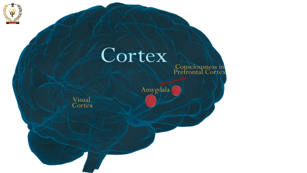The conscious route.