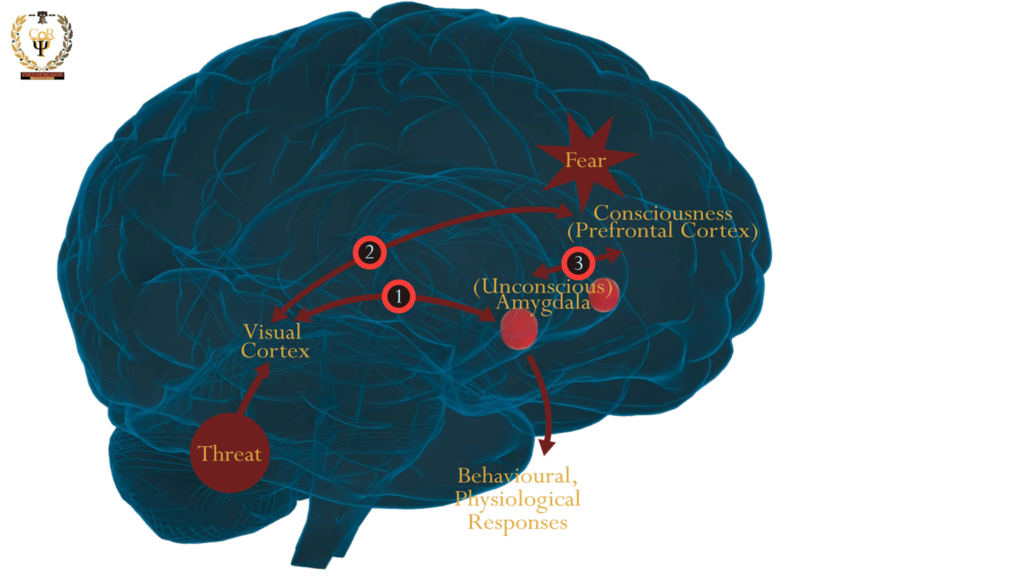 The conscious and the unconscious route.